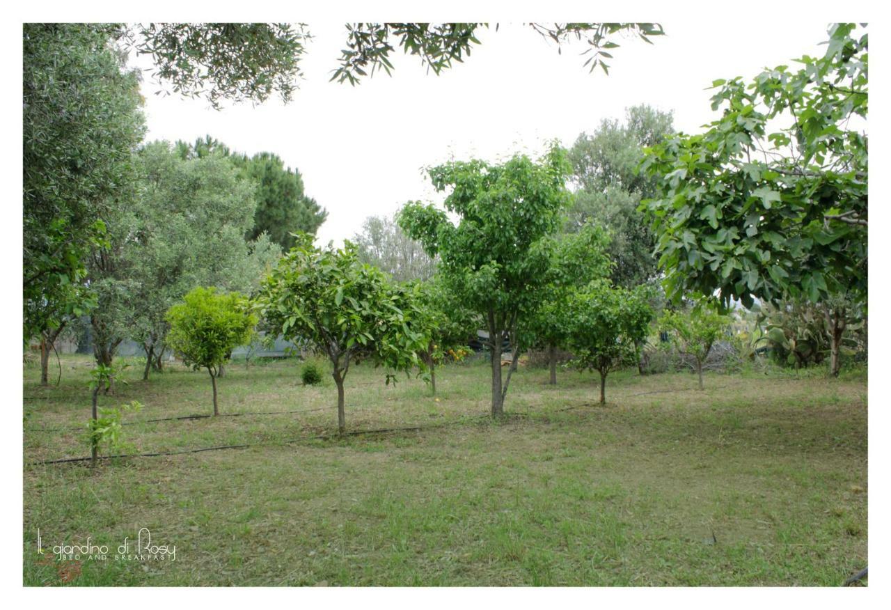 Il Giardino Di Rosy Villa Su Forti Exterior photo